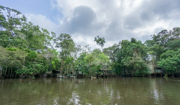 Forest en houten huizen — Stockfoto