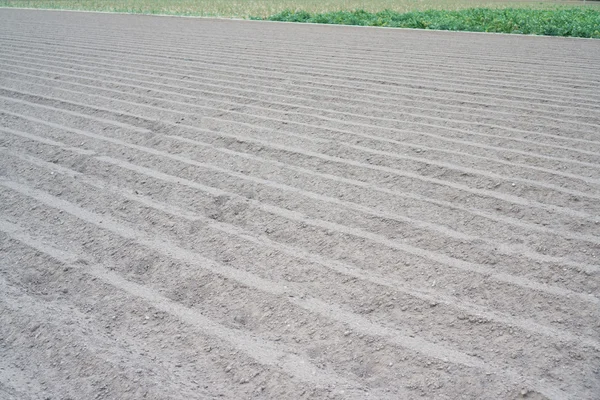 Furrows without plants — Stock Photo, Image