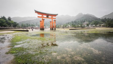 The  famous Floating Torii gate