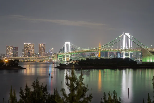 Longa exposição da baía e da ponte do arco-íris de Odaiba, vista noturna — Fotografia de Stock