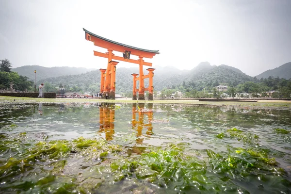 Miyajima, Floating Torii gate, low tide, Japan. — ストック写真