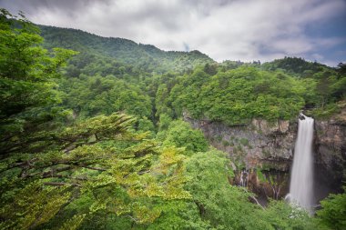Geniş açı Kegon Falls, Nikko, Japonya