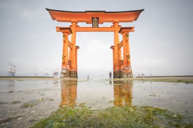 Miyajima, yakın yüzen kapısı, düşük tide, Japonya uzun pozlama.