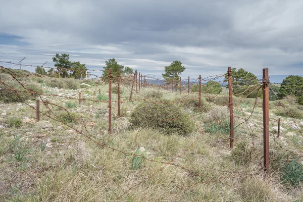 Abandoned military zone with rusty spiked fence — Stock Photo, Image