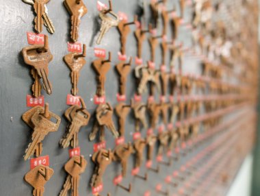 Duvar paslı demir tuşlarıyla sığ derinlik-in tarla