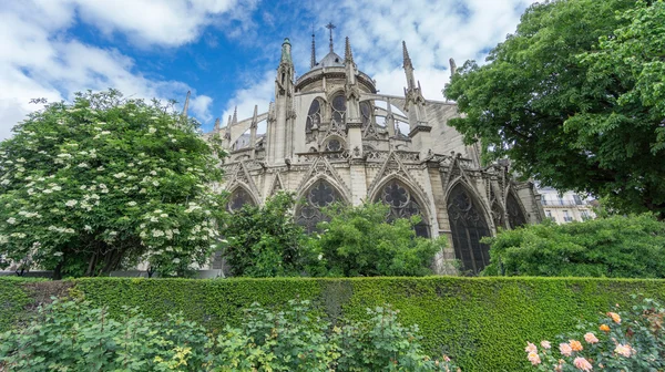 Zadní pohled na katedrálu Notre Dame v Paříži — Stock fotografie