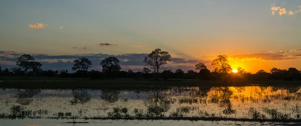 Puesta de sol en pantanal brasileño — Foto de Stock