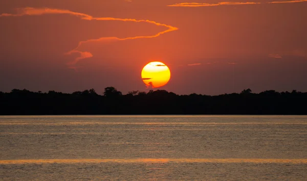 Puesta de sol en el río Amazonas — Foto de Stock