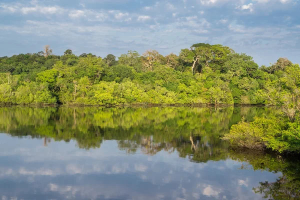 Amazonewoud en black river, bewolkte hemel — Stockfoto