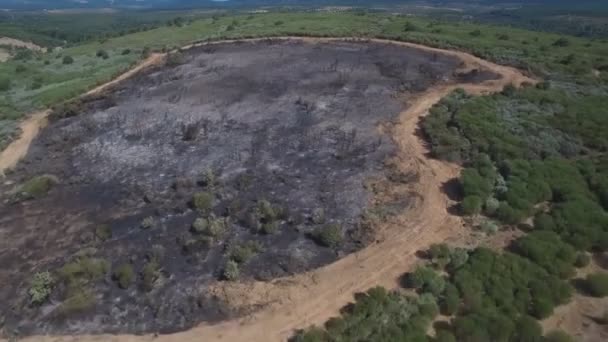 Firebreak rond verbrande gebied — Stockvideo