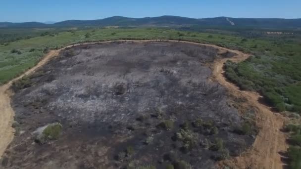 Pare-feu autour de la zone brûlée 