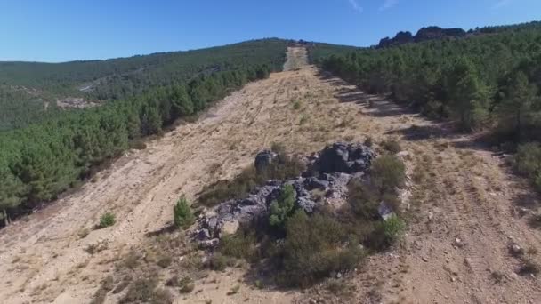 Entrée d'un coupe-feu, vue aérienne avec forêt de pins et rochers — Video