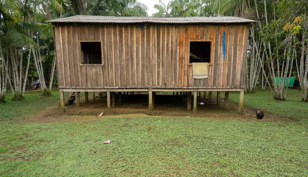 Woode houses built on high stilts, Amazon rainforest — Stock Image Woode houses built on high stilts, Amazon rainforest Royalty Free Stock Images