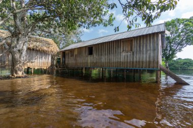 Woode houses built on high stilts over water, Amazon rainforest clipart