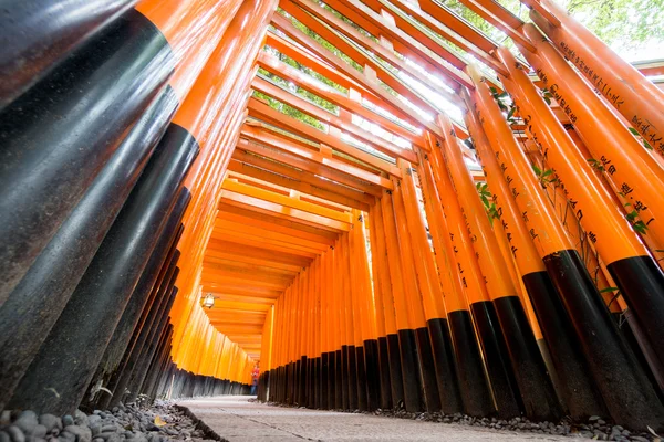 Хробаки око зору Torii ворота в Shrine Fushimi-Inari — стокове фото