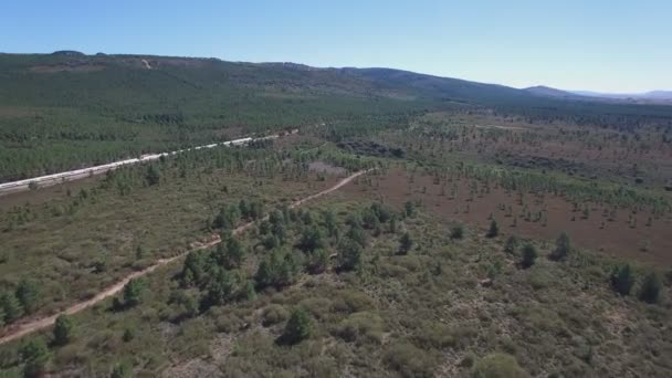 Siguiendo el tren en tren en el país , — Vídeos de Stock