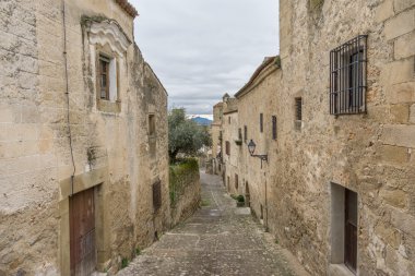 Vintage döşeli trujillo sokak