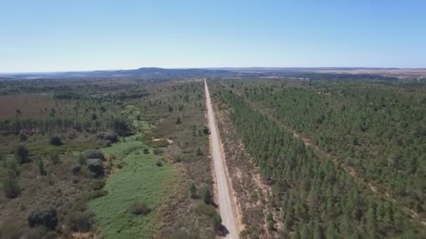 Route droite à la campagne, vue aérienne — Video