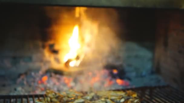 Schiebe-Kamera auf Lammkoteletts auf Grill — Stockvideo