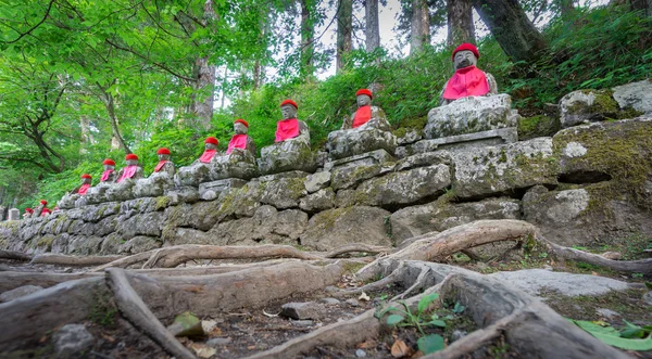 Statues recouvertes de mousse grand angle à Nikko — Photo