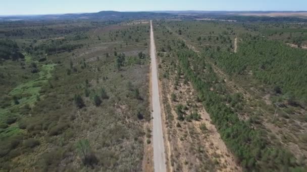 Estrada reta no campo, vista aérea — Vídeo de Stock