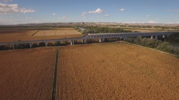 Descendiendo sobre campo de maíz con puente ferroviario — Vídeo de stock