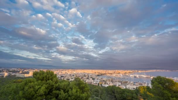 Time Lapse de Palma ciudad, España — Vídeo de stock