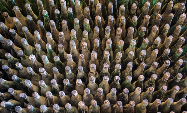 Vecchie bottiglie di vino vista dall'alto — Foto Stock
