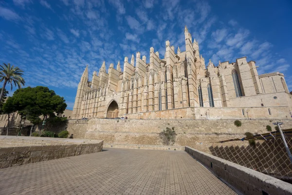 Katedralen i Palma de Mallorca, vidvinkel — Stockfoto