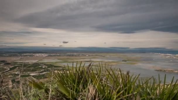 Magnifiques rizières en Asturias, Espagne .