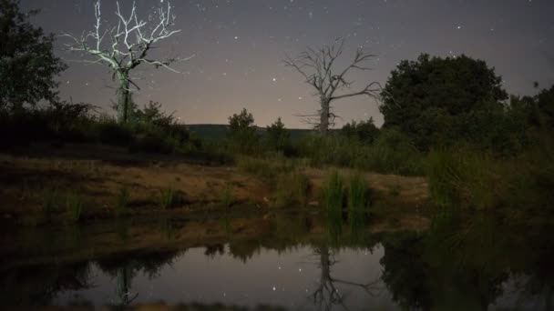 Night Time Lapse of stars and illuminated Dead Chestnut tree in 4K — Stock Video