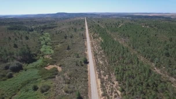 Пряма дорога в сільській місцевості, вид з повітря — стокове відео