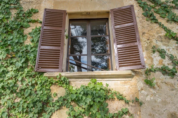 古老的木制窗户, 杂草丛生, 有常春藤 — 图库照片