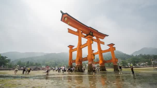 Časová prodleva slavného plovoucího torii na Miyajima — Stock video