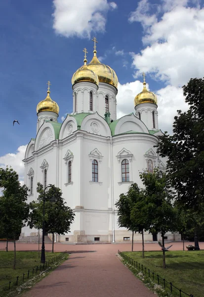 Pushkin St. Catherine's Cathedral — Stock Photo, Image