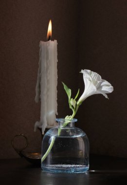 Retro tarzı, Alstroemeria çiçeğiyle birlikte küçük bir şarap şişesinde ve yanan mumla sade bir arka planda. Seçici ve yumuşak odak. 