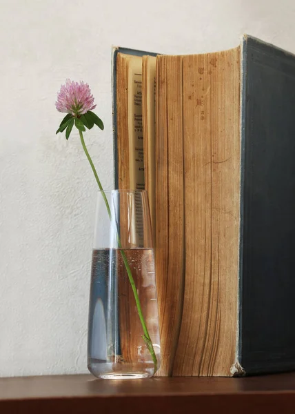 Natureza Morta Com Flor Trevo Vermelho Pequeno Vaso Vidro Livro — Fotografia de Stock