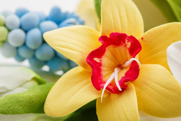 Schöner Frühlingsblumenstrauß — Stockfoto