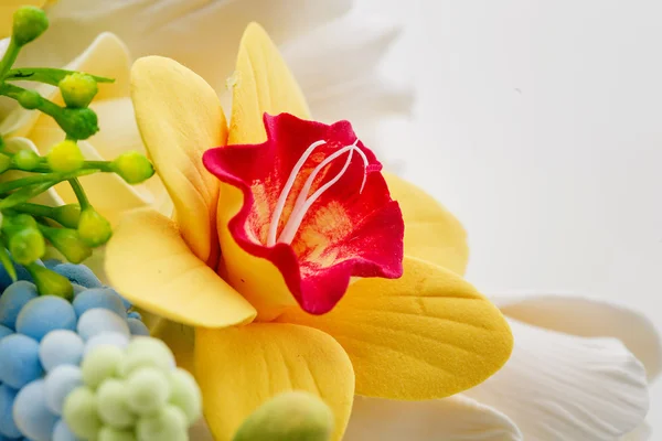 美しい春の花の花束 — ストック写真