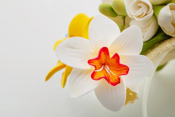 Schöner Frühlingsblumenstrauß — Stockfoto