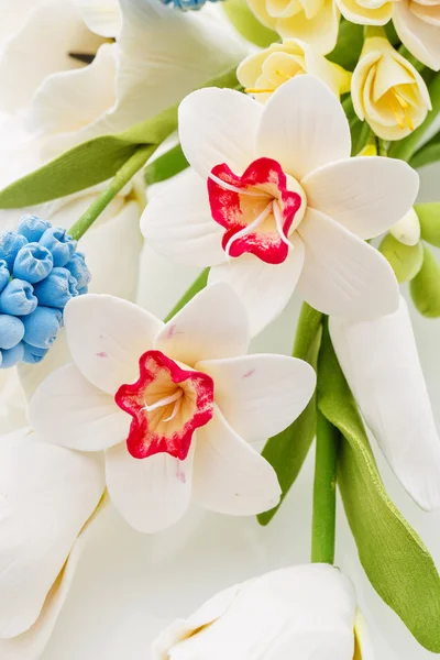 Schöner Frühlingsblumenstrauß — Stockfoto