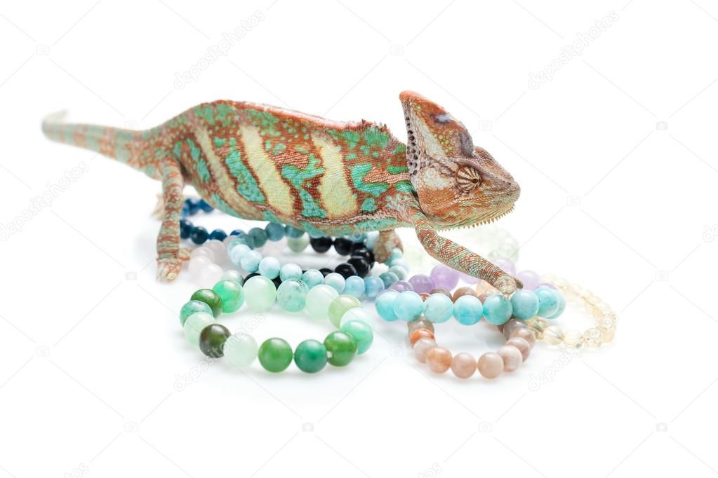 CHAMELEON HEAD NECKLACE OR BRACELET - THE DIVINE TRIBE