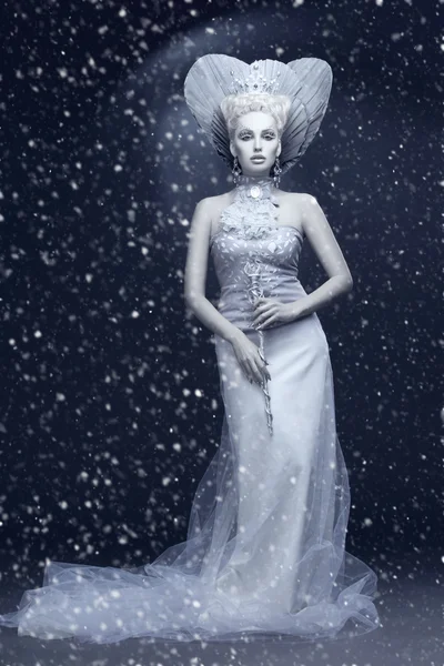Retrato de rainha de inverno — Fotografia de Stock
