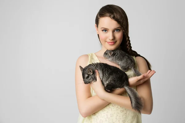 Fille avec chinchillas — Photo