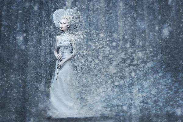 Conto de fadas rainha da neve em forrest magia — Fotografia de Stock