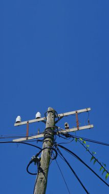 yazı kablolu elektrik