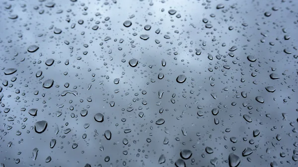 Μακροεντολή από σταγόνες βροχής — Φωτογραφία Αρχείου