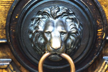 Kapıyı kafasına metal aslan