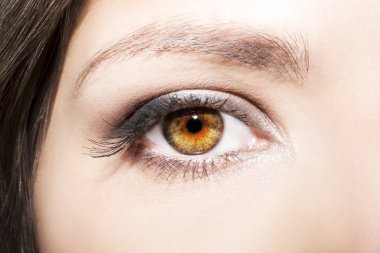 Göz makyajı. Güzel gözler makyaj ayrıntı, kirpik uzatma