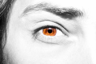 adamın kahverengi göz görüntüsünü kapat.